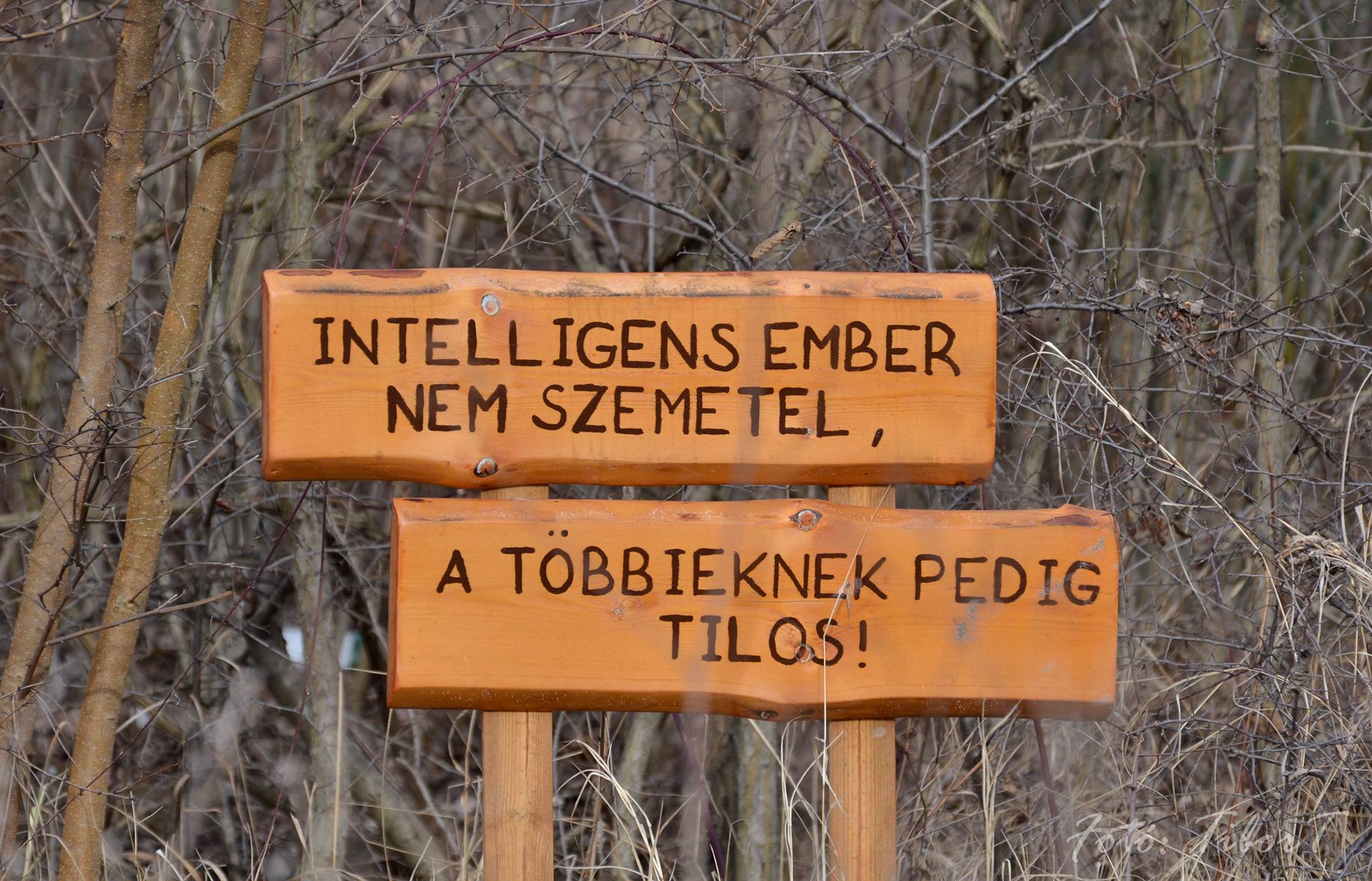 tábla